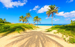 , , , , sea, beach, summer, sand, paradise, tropical, shore, , , palms, 