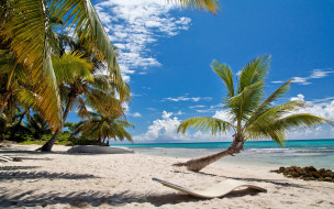 , , , tropical, paradise, , shore, sea, beach, summer, , palms, sand, , 