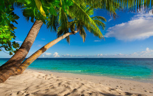      2880x1800 , , shore, sea, palms, summer, sand, tropical, paradise, beach, , , , , 