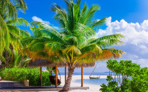      2880x1800 , , palms, , sand, tropical, paradise, shore, sea, beach, summer, , , , 