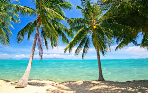      2880x1800 , , summer, tropical, paradise, shore, sea, beach, , , , , , palms, sand