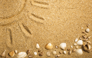      2880x1800 , ,  ,    spa-, , texture, sand, seashells, marine, beach
