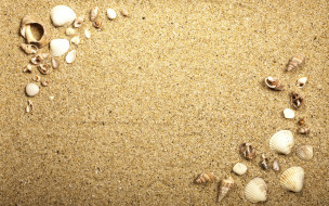      2880x1800 , ,  ,    spa-, beach, texture, sand, , seashells, marine