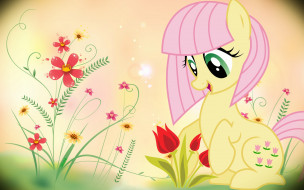 , my little pony, , 