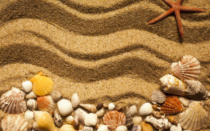      2880x1800 , ,  ,    spa-, marine, beach, , starfish, seashells, texture, sand