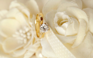      2880x1800 , ,  ,  , , soft, lace, ring, flowers, background, wedding, , 