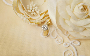      2880x1800 , ,  ,  , soft, lace, ring, flowers, wedding, background, , , 