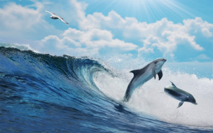      2880x1800 ,  , dolphins, splash, sky, sea, , , , , blue, wave, ocean