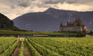 Castle and wine     2000x1204 castle and wine, ,  , , 