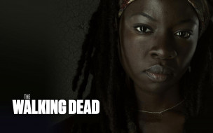      1920x1200  , the walking dead, , , 