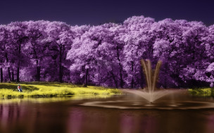      2016x1260 ,  , , , scenery, lake, , , purple, tree