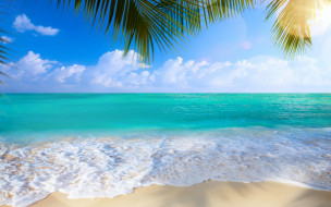      2880x1800 , , , , , , paradise, shore, sea, , beach, summer, palms, sand, tropical