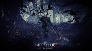  , the witcher 3,  wild hunt, 