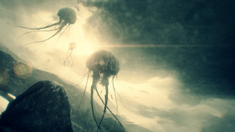      1920x1080 , , creatures, huge, jellyfish, floating, sky
