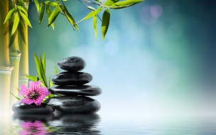      2880x1800 , ,  ,    spa-, stones, reflection, zen, water, orchid, flower, spa, bamboo, , , , 