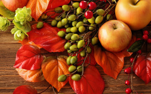      2880x1800 , , autumn, leaves, berries, still, life, harvest, fruit, apples, , , , 