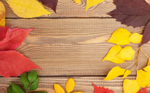      2880x1800 , , wood, texture, leaves, colorful, , , autumn