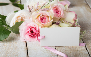      2880x1800 , , pink, roses, flowers, soft, 