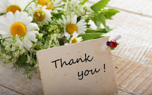     2880x1800 , ,  , thank, you, flowers, , 