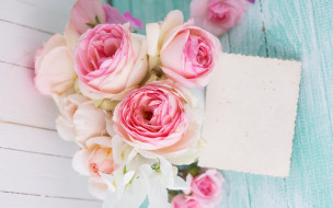      2880x1800 , , pink, roses, flowers, soft, 