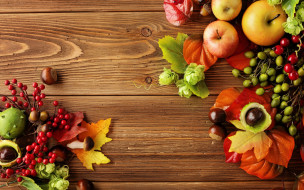      2880x1800 , ,  ,  , autumn, leaves, berries, still, life, harvest, fruit, apples, , , , 