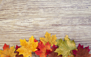      2880x1800 , ,  ,  , , autumn, , , texture, wood, colorful, leaves