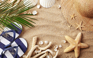     2880x1800 , ,  ,  ,  , , starfish, seashells, , sand, accessories, beach, summer, vacation, , , , 
