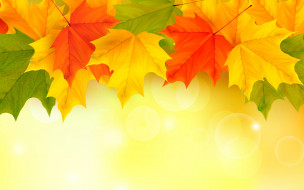      2880x1800  ,  , nature, autumn, leaves, maple, , , 