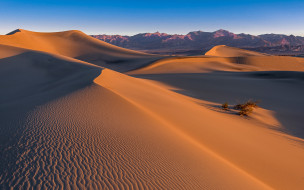      1920x1200 , , desert, sand, mesquite, dunes, death, valley