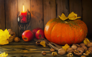 ,    , autumn, harvest, still, life, fruits, leaves, pumpkin, nuts, , , , 