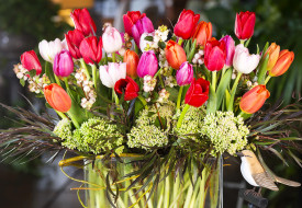      3000x2075 , , bouquet, tulips