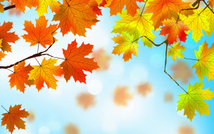      2880x1800  ,  , nature, , , , autumn, maple
