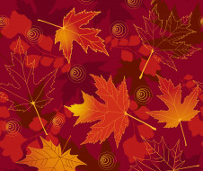      5000x4208  ,  , nature, maple, autumn, leaves, fall, , , 