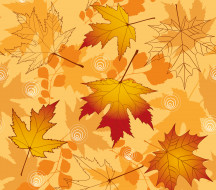      5000x4400  ,  , nature, , maple, fall, , leaves, autumn, 