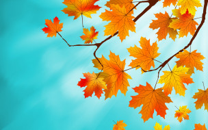      2880x1800  ,  , nature, autumn, , maple, leaves, , 