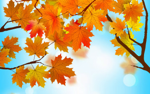      2880x1800  ,  , nature, , , , autumn, maple, leaves