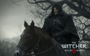  , the witcher 3,  wild hunt, the, witcher, action, , 3, wild, hunt