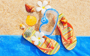      2880x1800 , ,  ,  ,  , summer, , , seashells, sand, accessories, beach, vacation, , , , 