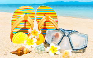 , ,  ,  ,  , accessories, , , sand, summer, vacation, , , , , seashells, beach