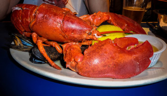 Boston Lobster     2046x1177 boston lobster, , ,  ,  ,  , 