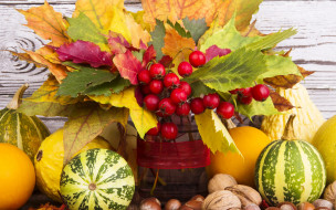      2880x1800 , , pumpkin, , , , , , , nuts, leaves, fruits, still, life, harvest, autumn