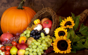      2880x1800 ,    , autumn, harvest, still, life, fruits, leaves, pumpkin, nuts, , , , 