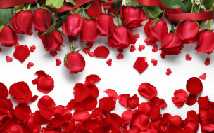      2880x1800 , , hearts, petals, , , love, flowers, roses, red