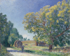 alfred sisley - a forest clearing, , alfred sisley, , , , 