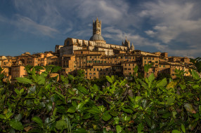 Cathedral of Siena     2048x1365 cathedral of siena, , -  ,  ,  , 
