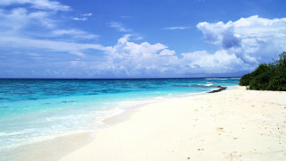 ���� ��� �������� ����� �986347 �������(a):����_��� ����������:1920x1080