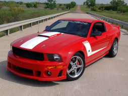 2008, roush, 428r, mustang, , ford