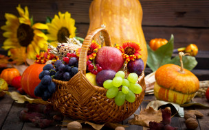 , ,  , pumpkin, grapes, apples, autumn, flowers, , , , , 