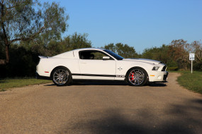      4096x2731 , mustang, super, shelby, gt500, snake