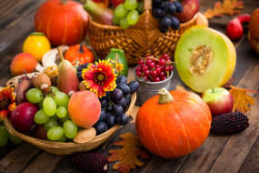      4596x3064 ,    , , , , autumn, grapes, harvest, pumpkin, 